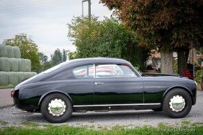 WhatsApp Image 2025-12-02 at 12.41.44 (1)